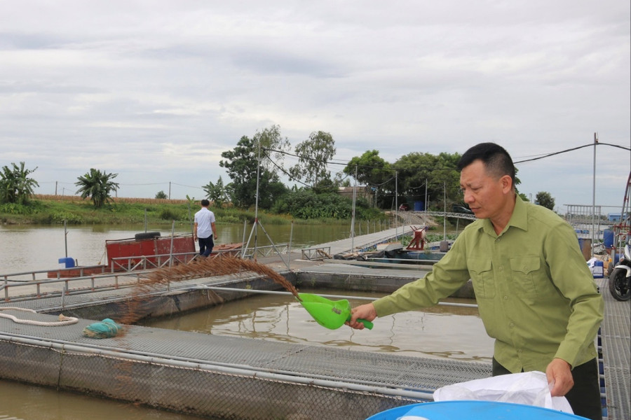 Fisheries led growth in Hai Phong’s agricultural sector