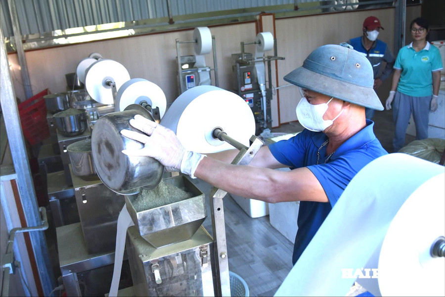 Kinh tế tư nhân - Động lực tăng trưởng mới