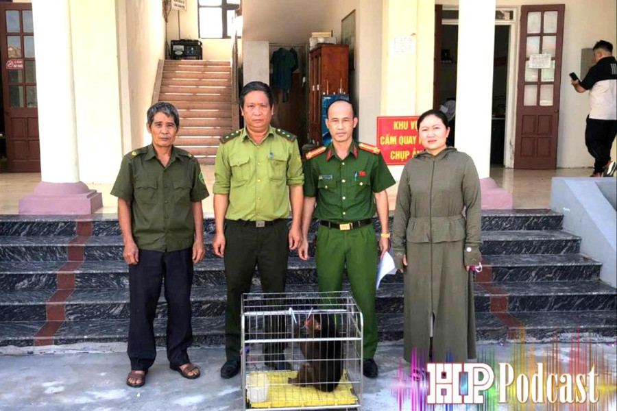 Bản tin 5 phút an ninh trật tự ngày 9/7/2026