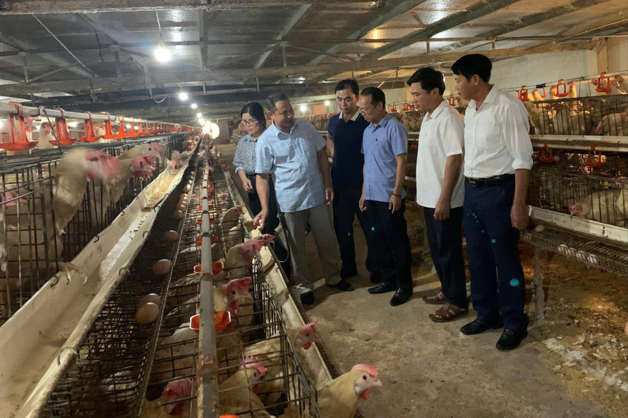 Ngành chăn nuôi duy trì đà tăng trưởng