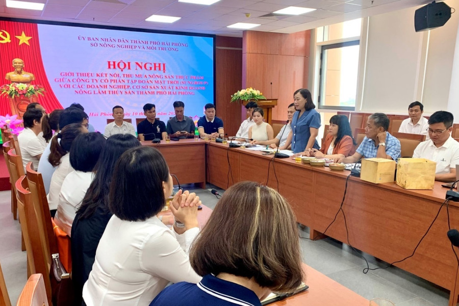 Connecting agricultural and food products to Sun Group’s system