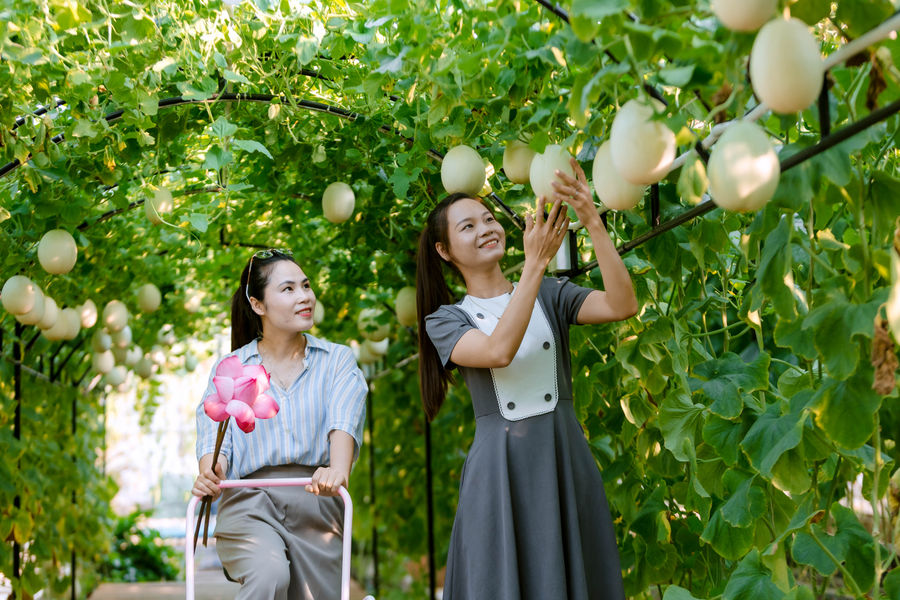 Experiencing sustainable agriculture in a green oasis