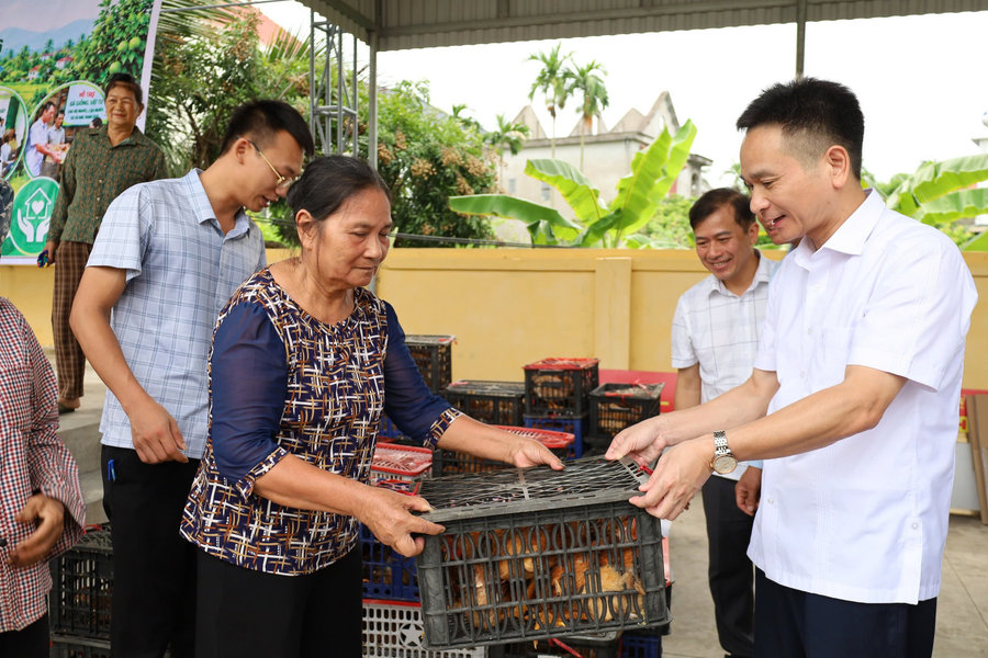 Xã Hà Bắc hỗ trợ gà giống cho hộ nghèo, cận nghèo
