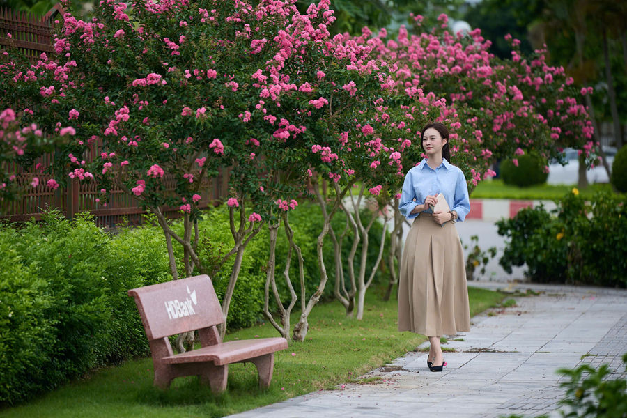 Theo dấu mùa hoa tường vy ở Hải Phòng