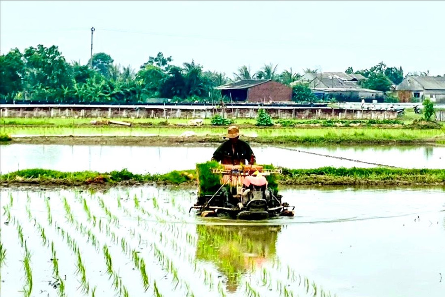 10 tiêu chí xây dựng nông thôn mới giai đoạn mới ở Hải Phòng