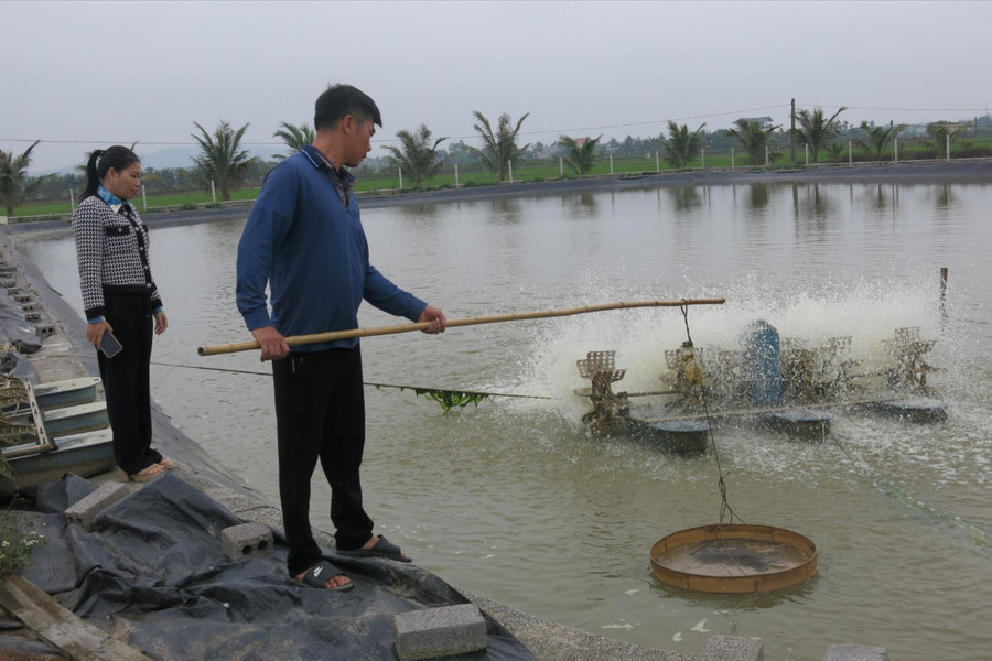 Nghề nuôi thủy sản đối mặt nhiều rủi ro do biến đổi khí hậu