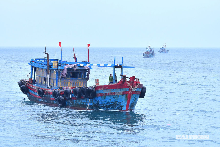 Hai Phong fishermen head back to sea