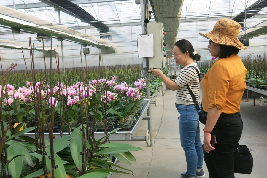 Đầu tư nguồn vốn phát triển khu nông nghiệp ứng dụng công nghệ cao