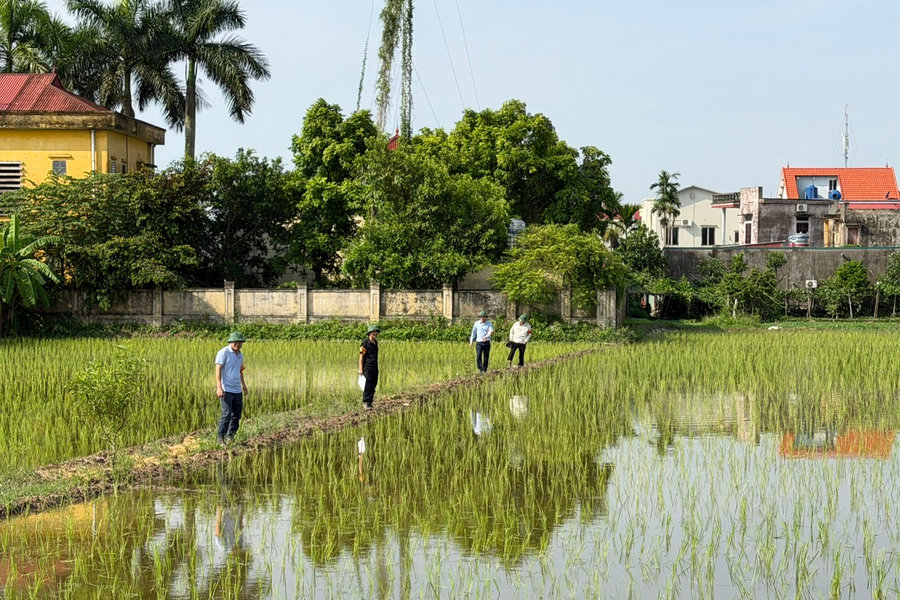 Lai Khê cưỡng chế kiểm đếm để thực hiện dự án điểm dân cư mới thôn Hợp Nhất