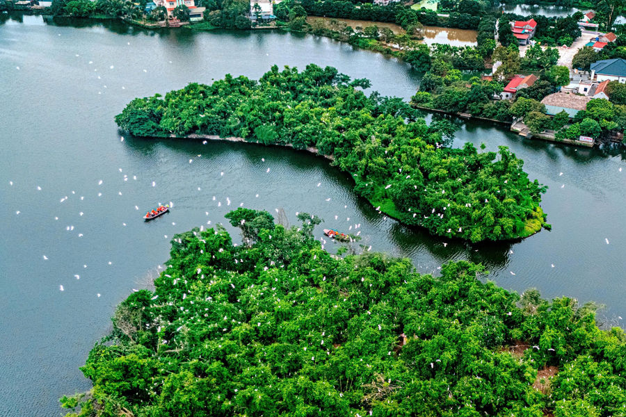 Sức hút Hải Phòng 24 giờ khám phá trọn vẹn