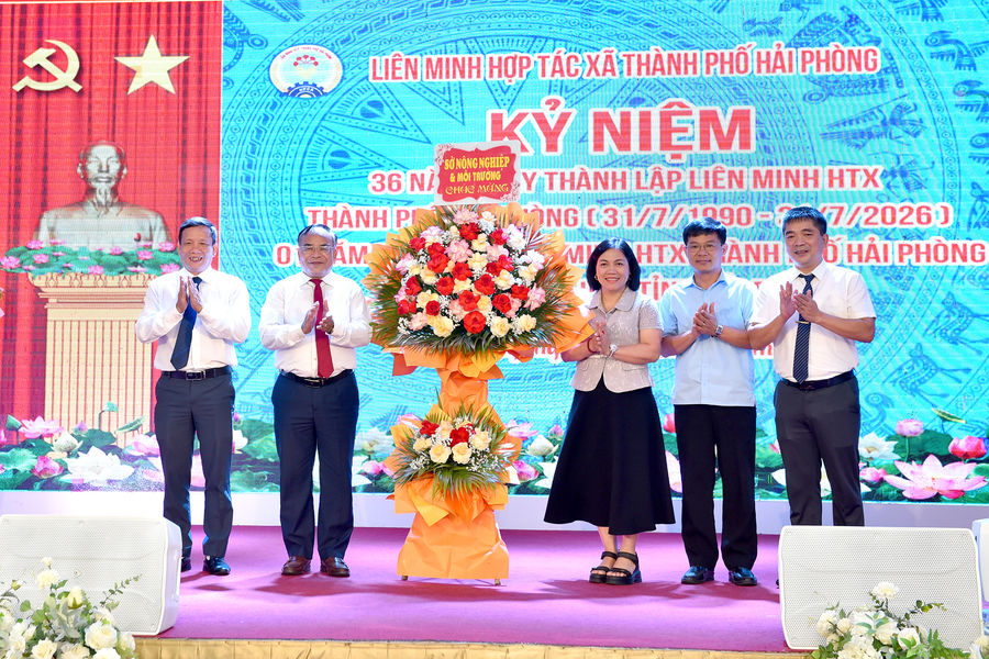 Đẩy mạnh chuyển đổi số, xây dựng chuỗi giá trị cho hợp tác xã