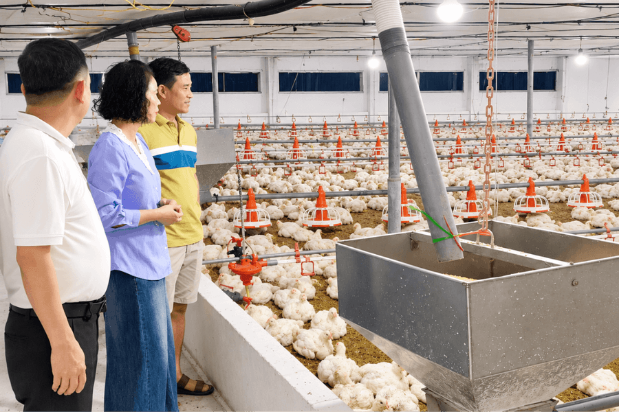 Tạo đòn bẩy để nông dân làm giàu bền vững