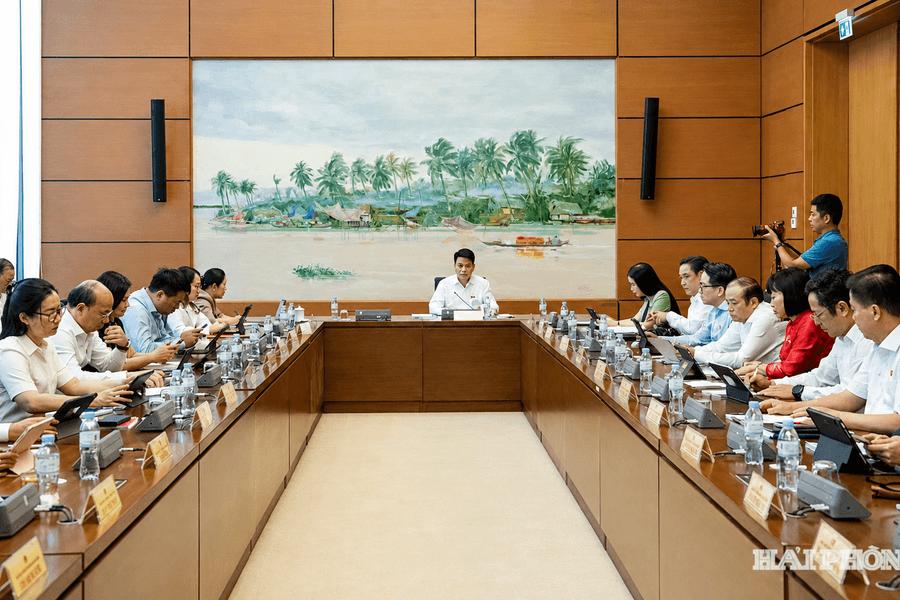 Cần giám sát hàng hoá xuất nhập khẩu qua thương mại điện tử