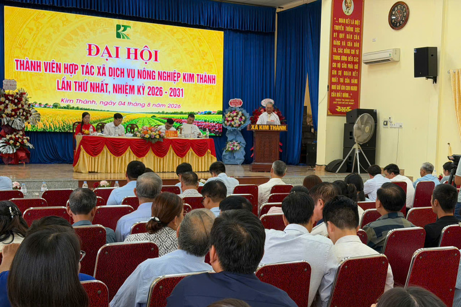 Kim Thành thành lập Hợp tác xã Dịch vụ nông nghiệp quy mô toàn xã