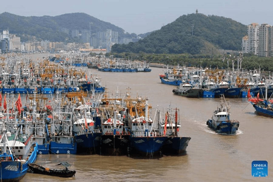 Trung Quốc nâng mức ứng phó khẩn cấp với bão Dolphin