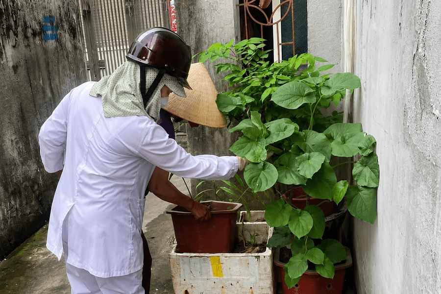 Nguy cơ dịch sốt xuất huyết ở mức cao