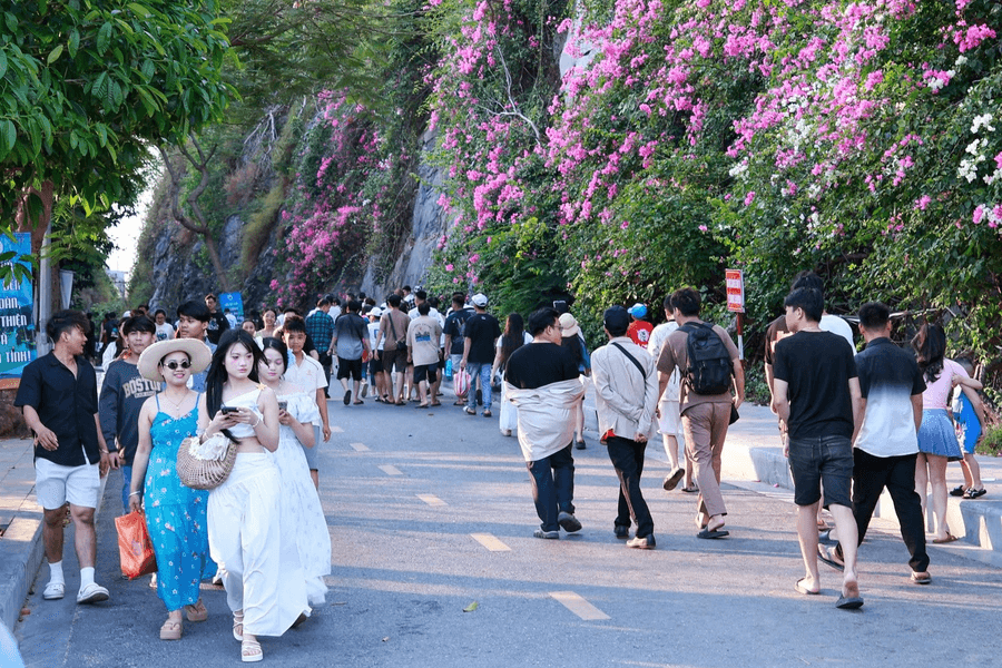 A breakthrough summer for Cat Ba tourism