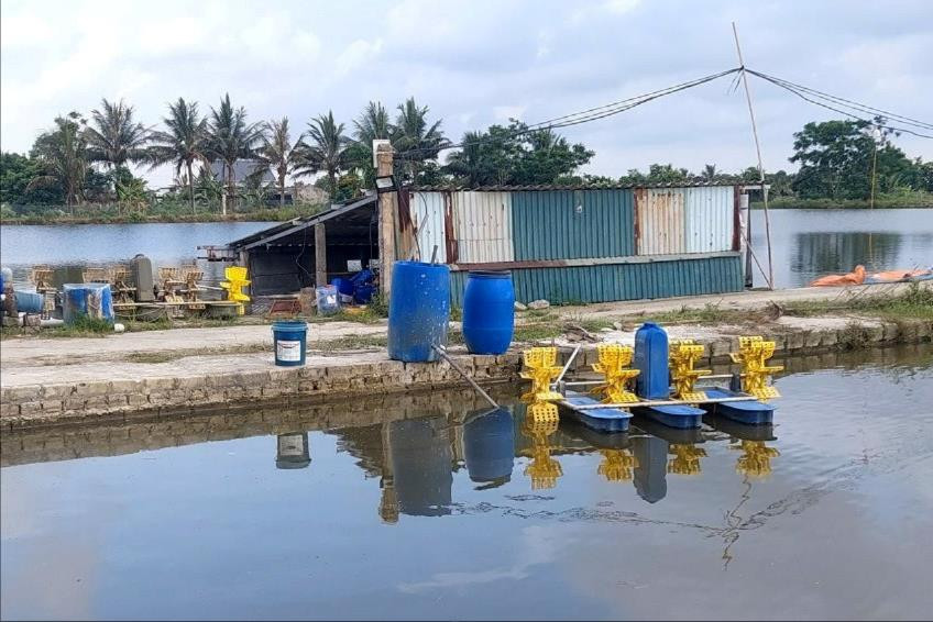 Tăng cường quản lý giá trong hoạt động đấu thầu