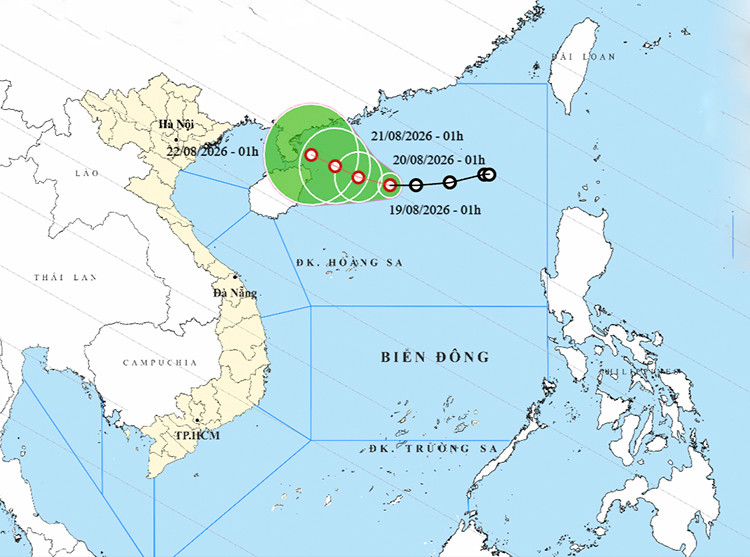 Áp thấp nhiệt đới gây biển động, miền Bắc có mưa rất to