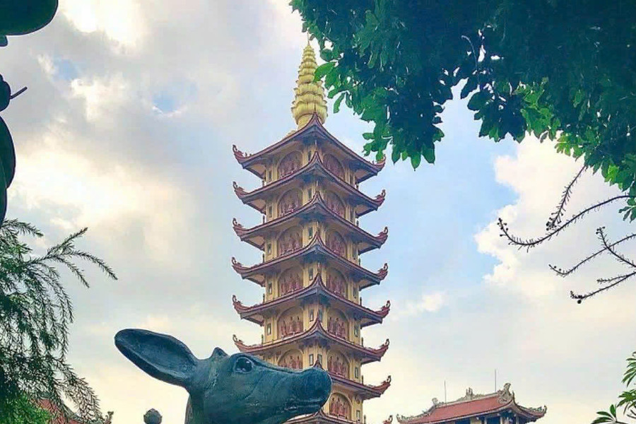 Đồ Sơn ra mắt 'cẩm nang số' du lịch
