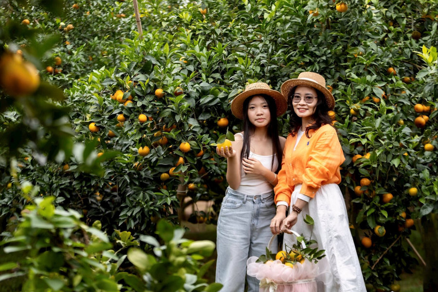 Rural areas become tourist destinations