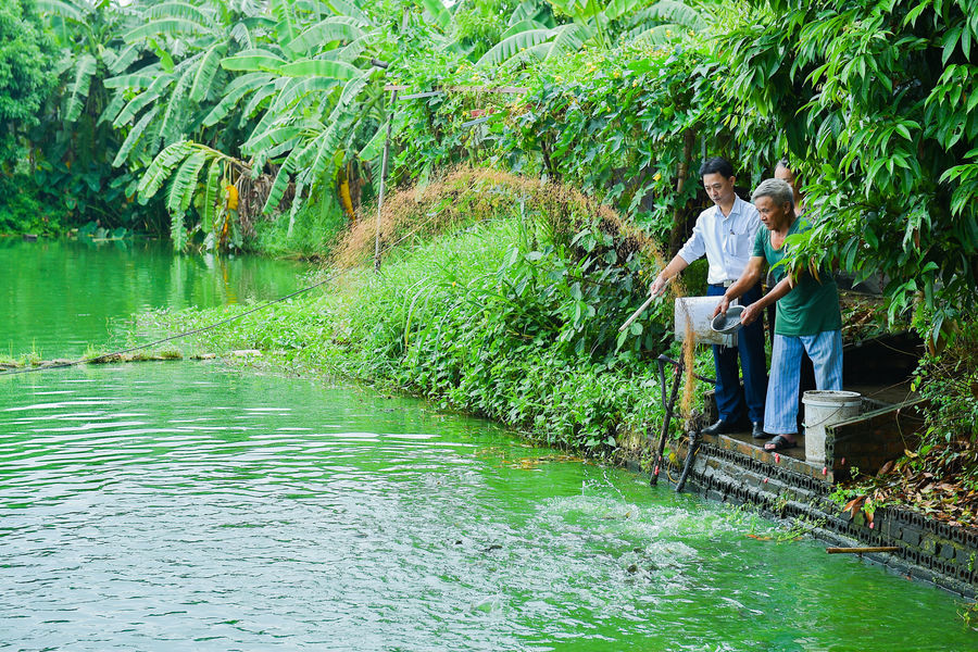 Giảm nghèo bền vững, nông thôn đẹp tươi