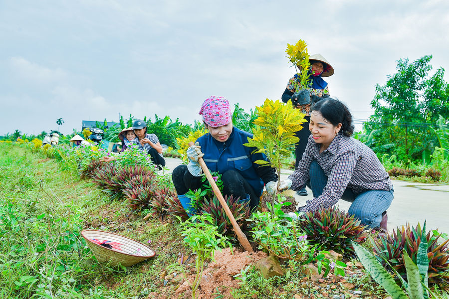 Phụ nữ xã Hà Đông làm đẹp triền đê