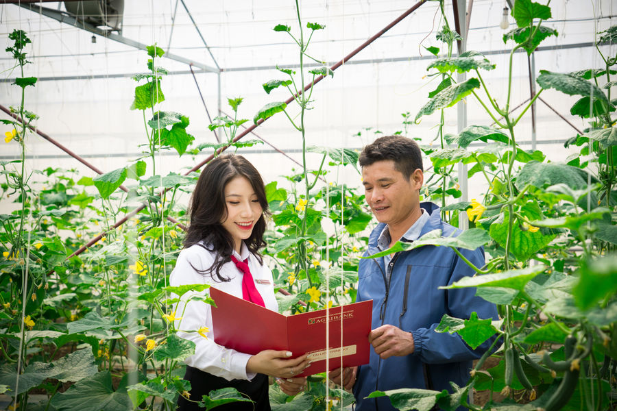 Tổng lực tiếp sức doanh nghiệp nhỏ và vừa