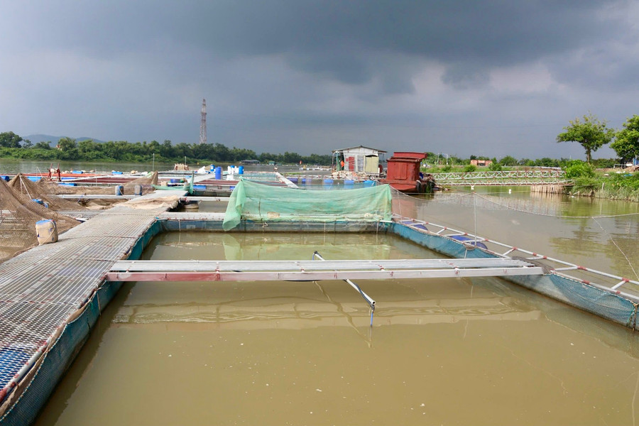 43 ha nuôi thuỷ sản bị ngập tràn bờ