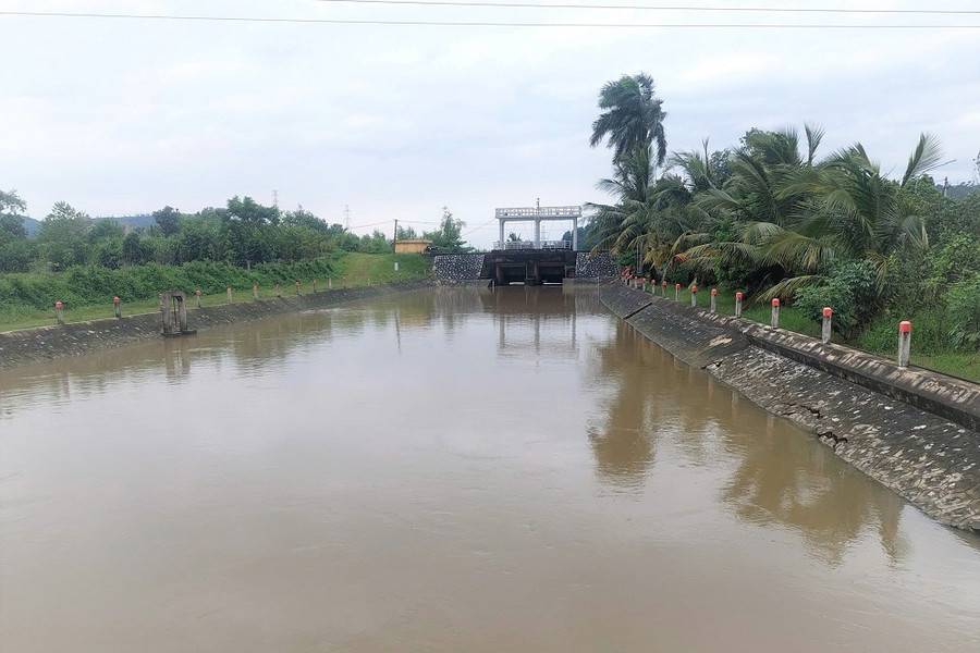 Công ty Thủy lợi An Hải hoàn thành tiêu thoát nước trên các tuyến kênh