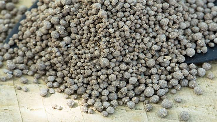 Dự án khai thác phốt phát đáy biển đầu tiên trên thế giới