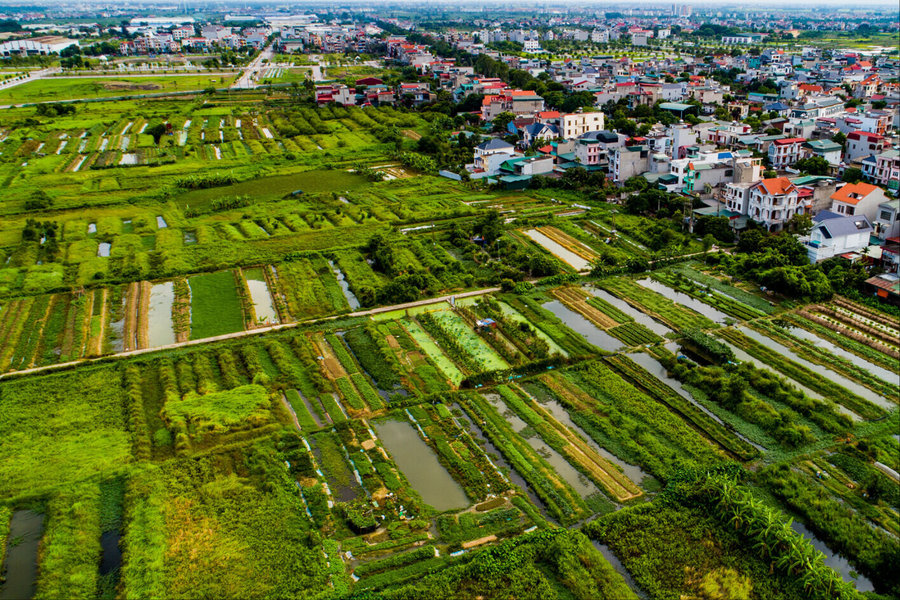 Chấm dứt tình trạng hồ sơ đất đai qua 'cò' được xử lý nhanh hơn