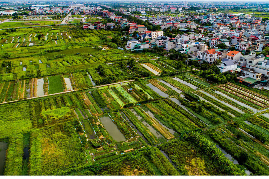 Bịt 'khoảng trống' đặt cọc, giữ chỗ bất động sản