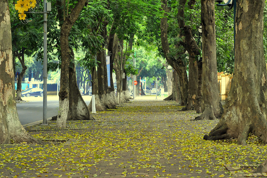Màu thu