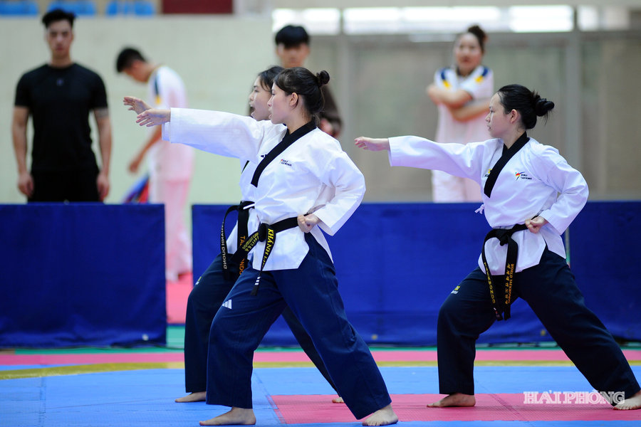 Taekwondo Hải Phòng vượt khó, giữ thành tích