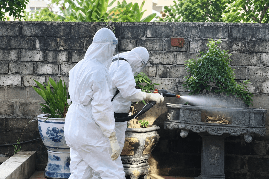 Chặn nguy cơ sốt xuất huyết lan rộng