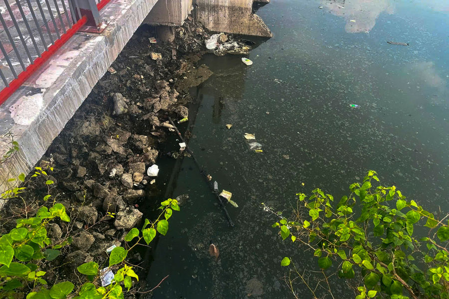 Nước Hồ Sen ô nhiễm, gây mùi khó chịu