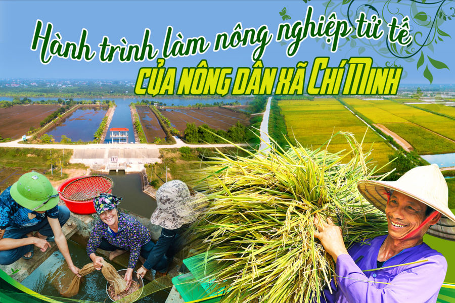 Hành trình làm nông nghiệp tử tế của nông dân xã Chí Minh