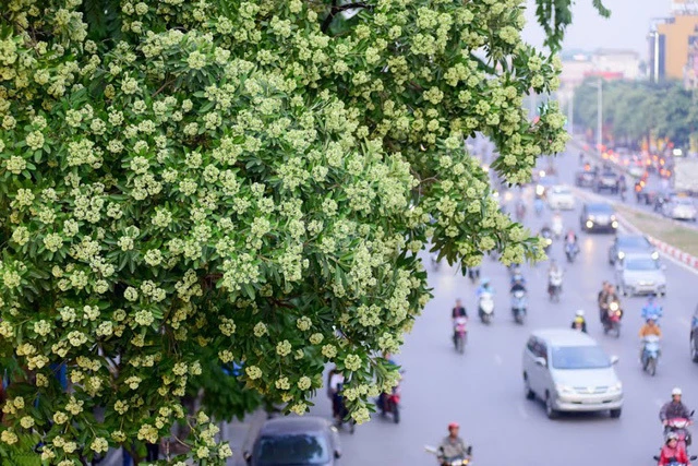 Sứ giả của mùa thu