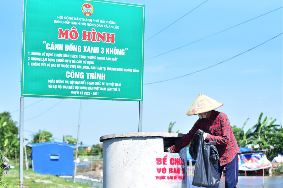 Những cánh đồng không rác thải ở Hải Phòng