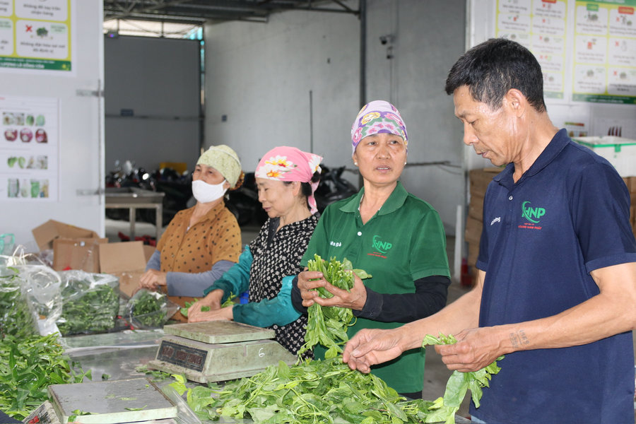 Nông nghiệp Hải Phòng hướng tới tăng trưởng cao hơn