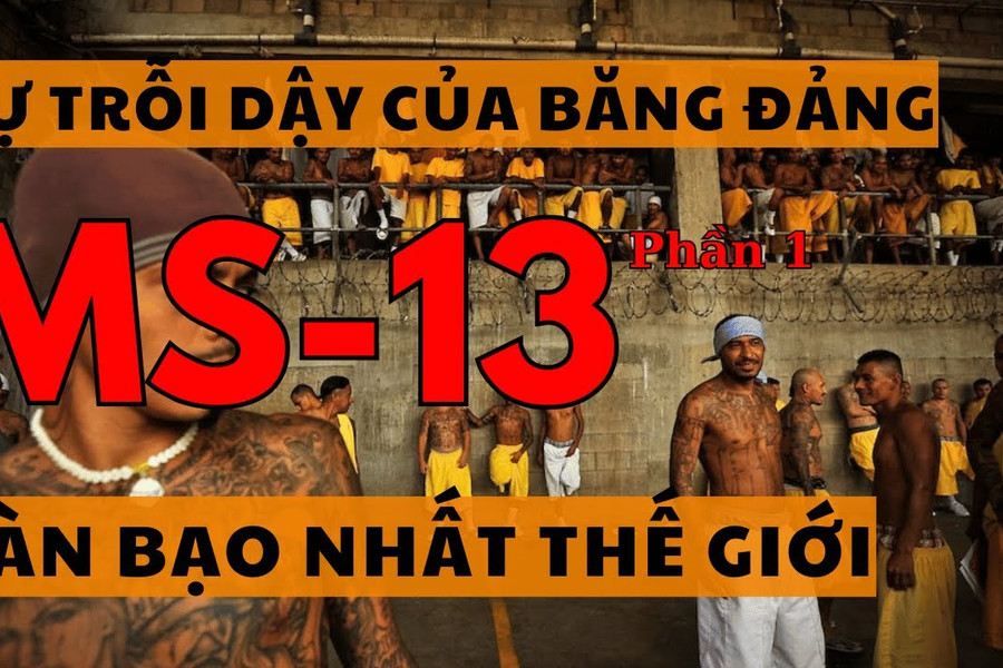 Băng đảng MS-13. Phần 1: Mầm mống tội phạm đường phố