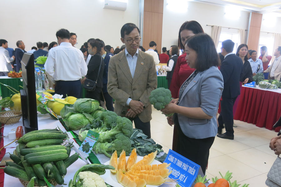 Hai Phong agriculture poised for breakthrough