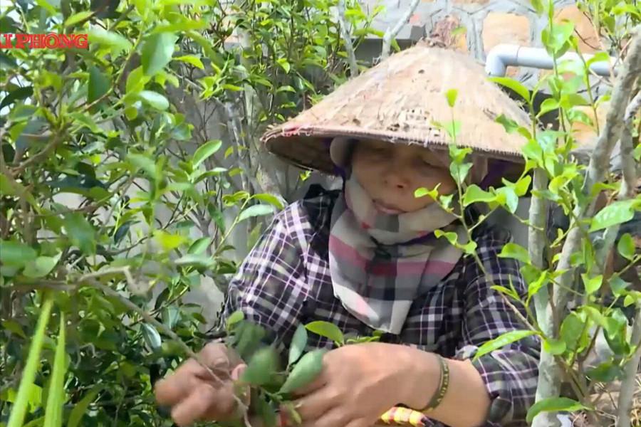 'Xanh hóa' sản phẩm OCOP, đón đầu xu hướng tiêu dùng